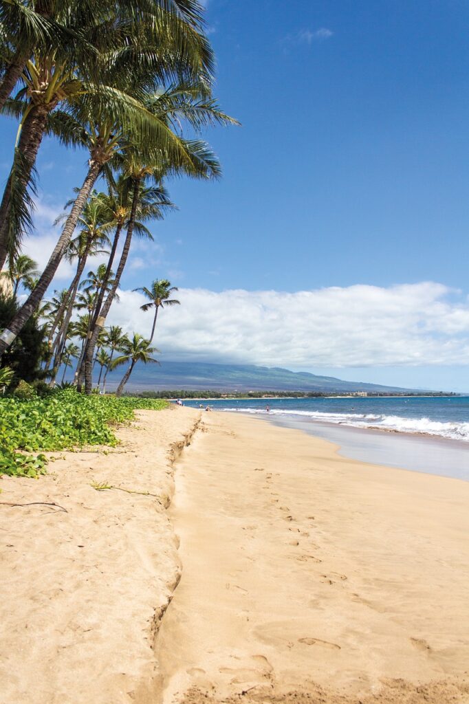 beach, palmer, hawaii-1630536.jpg